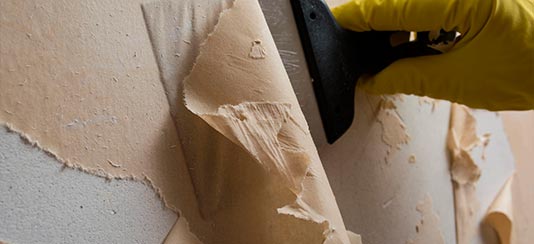 Wall Paper Removal image