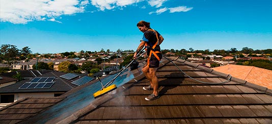 Soft Roof Washing image
